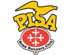 pisa_road