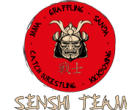 senshi_team